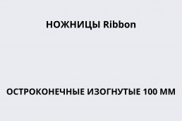 Ножницы Ribbon остроконечные изогнутые 100 мм
