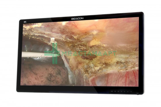 Монитор медицинский Beacon 32 4К (S3281P)